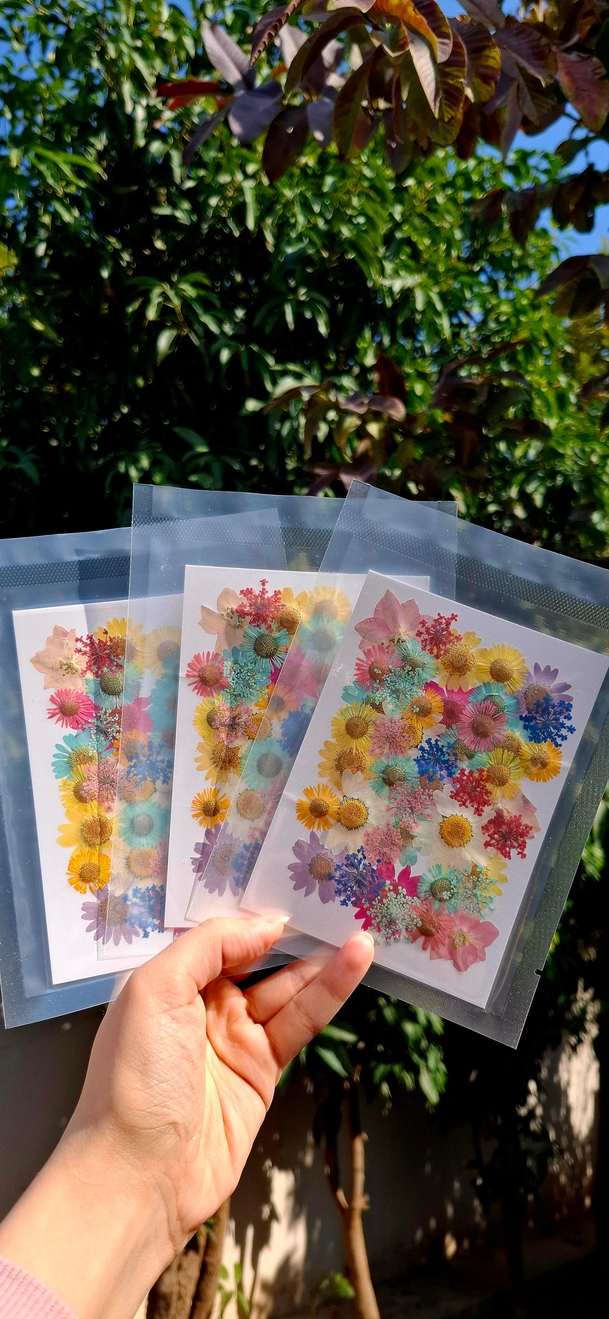 Naturally dried mix flowers pack