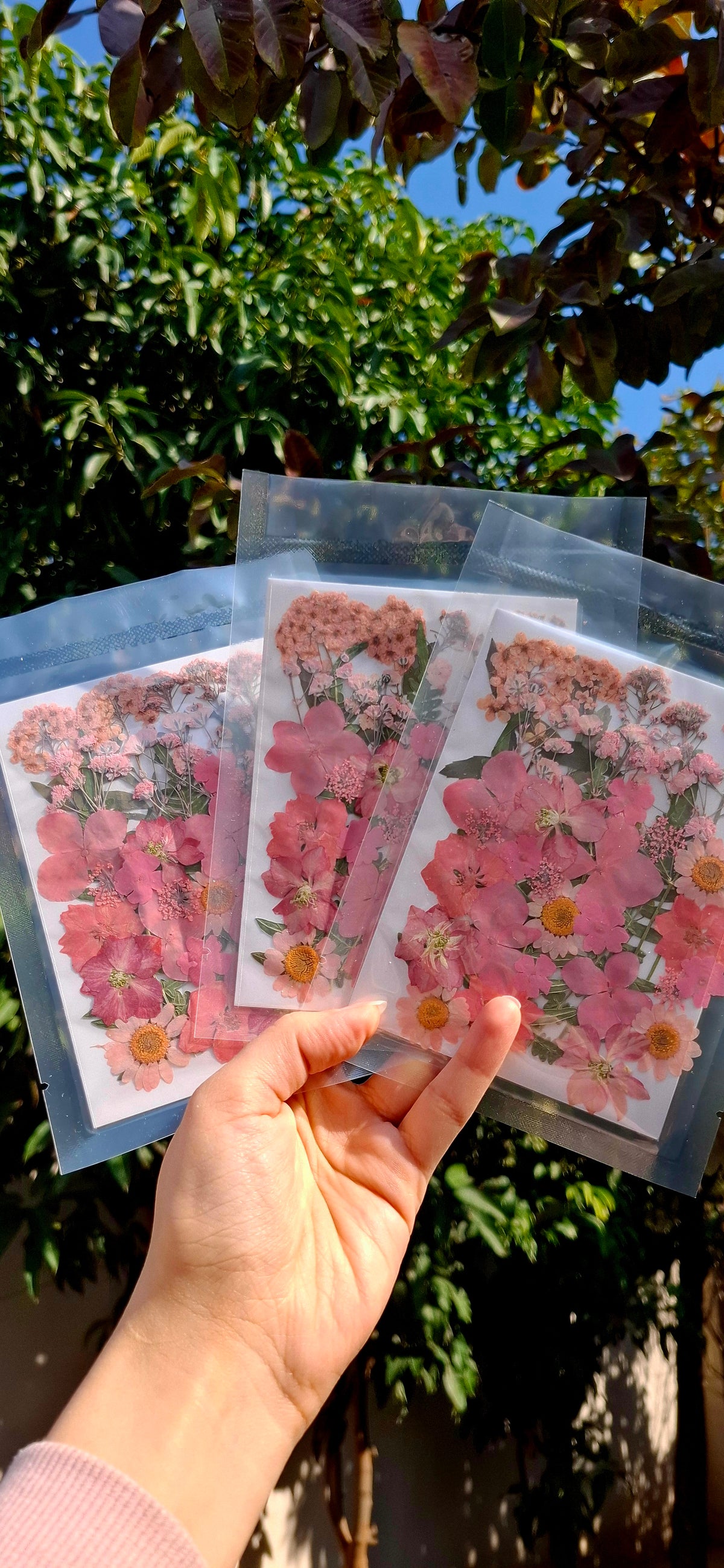 Mix flowers pack