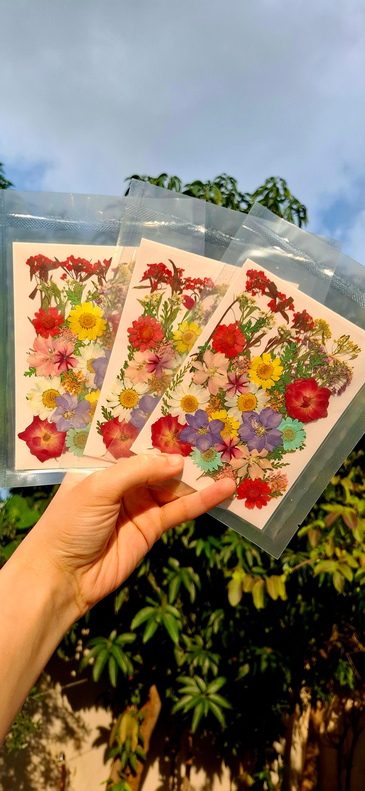 Naturally dried mix flowers pack