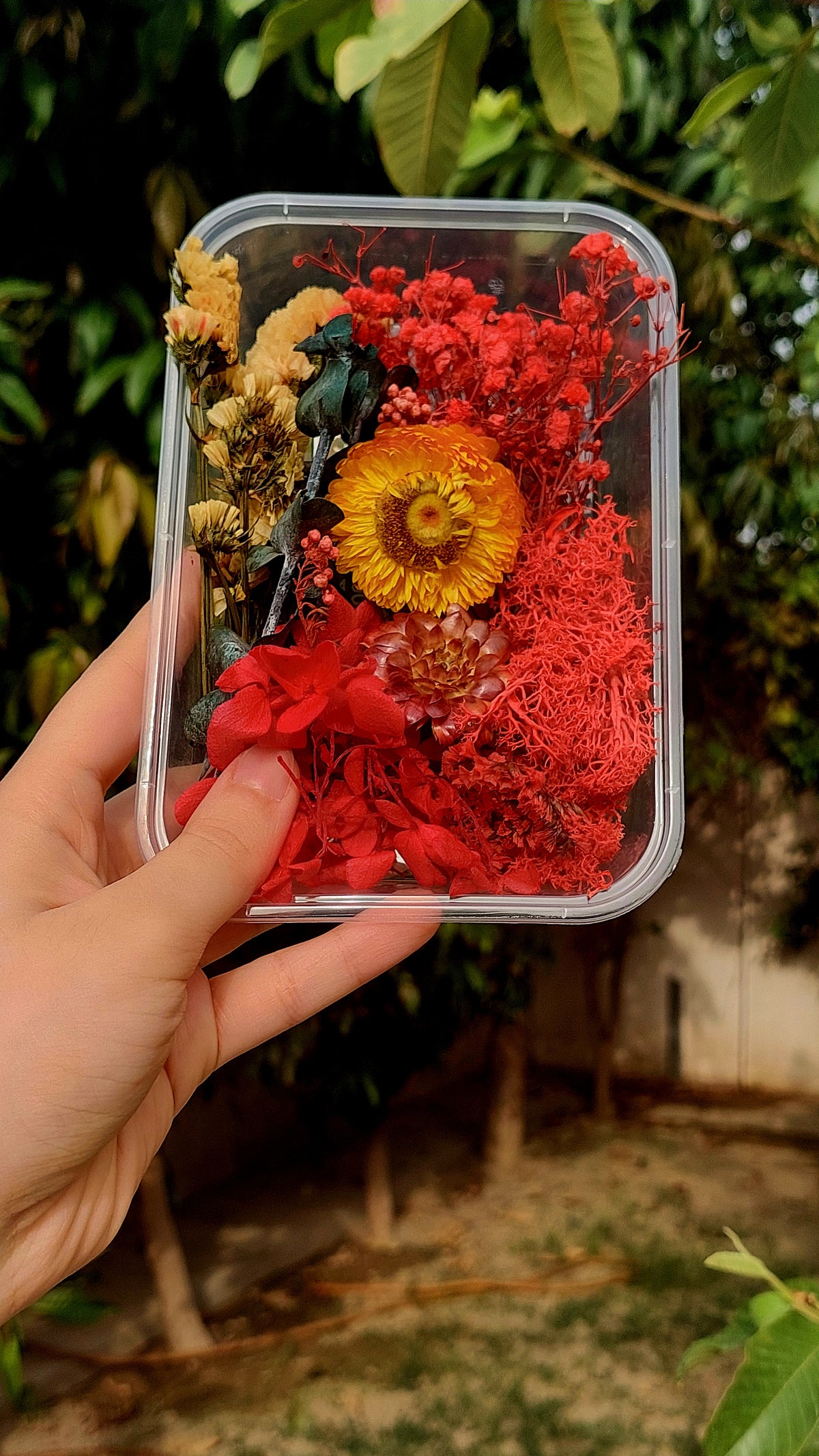 Assorted Real Dry Flowers