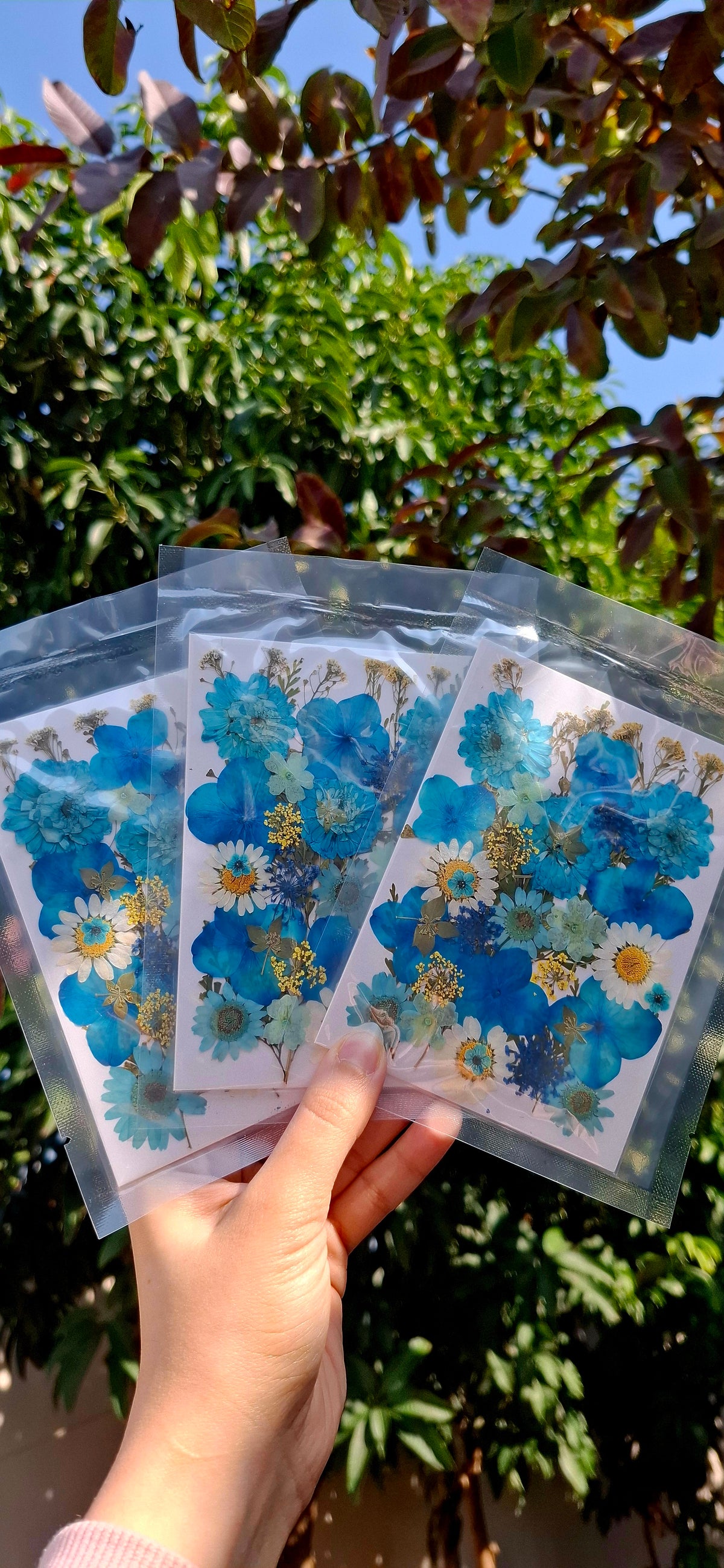 Mix flowers pack