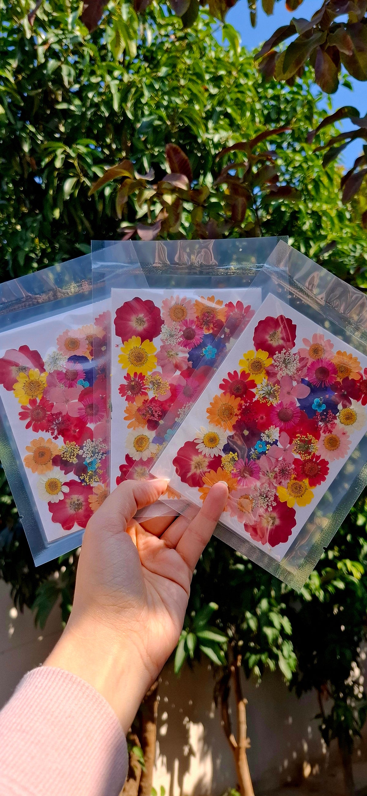 Naturally dried mix flowers pack