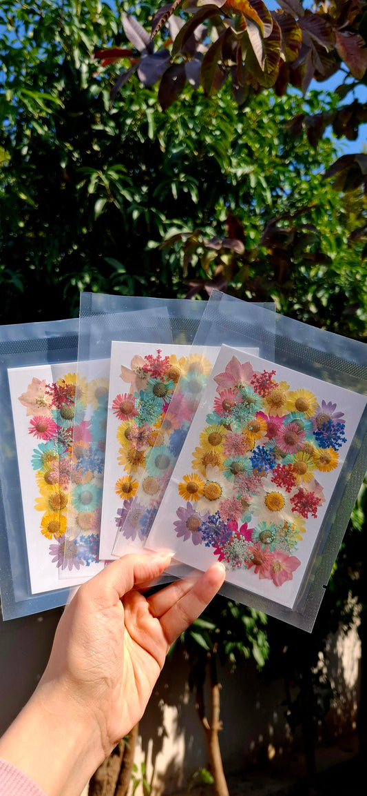 Naturally dried mix flowers pack