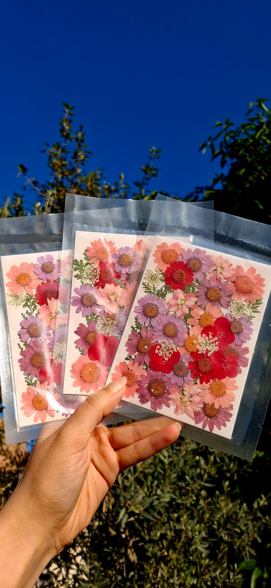 Naturally dried mix flowers pack