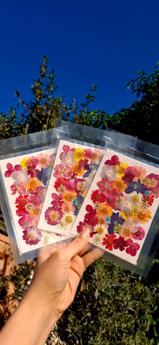 Naturally dried mix flowers pack