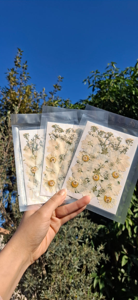 Naturally dried mix flowers pack