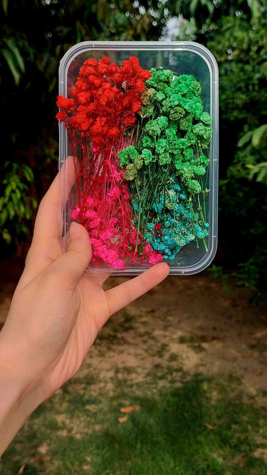 Dry baby breath flowers