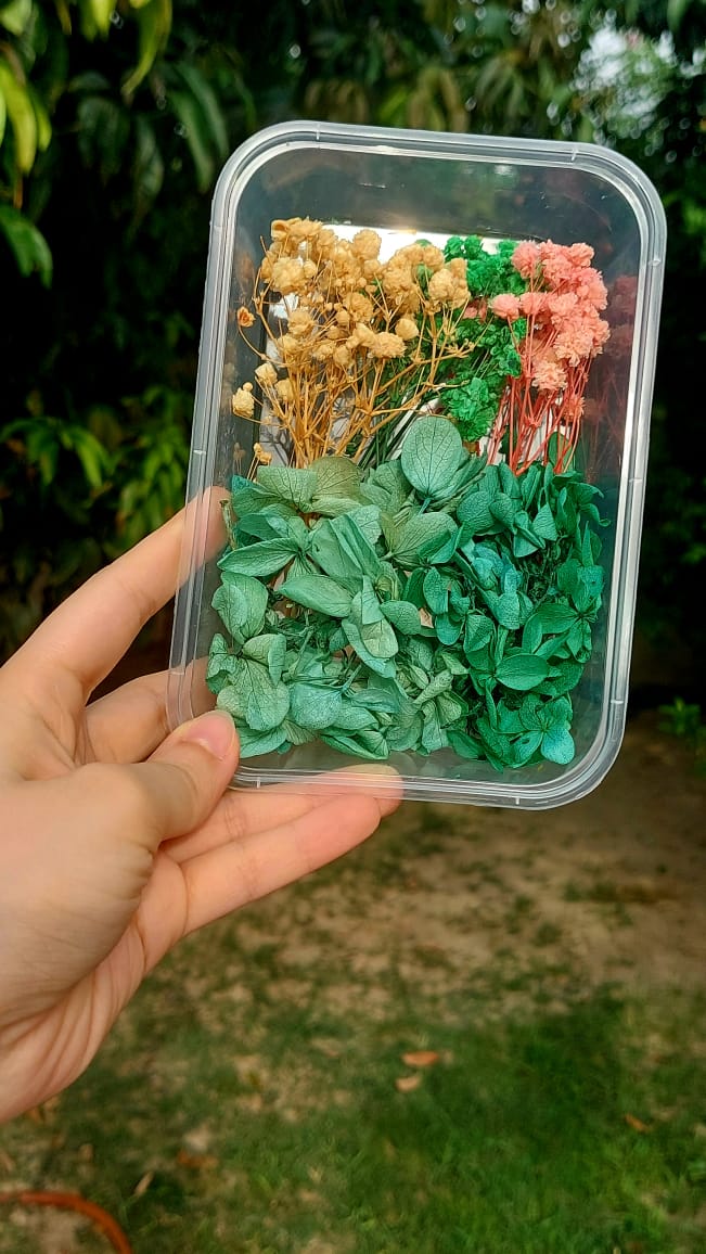 Hydrangea with Baby Breath