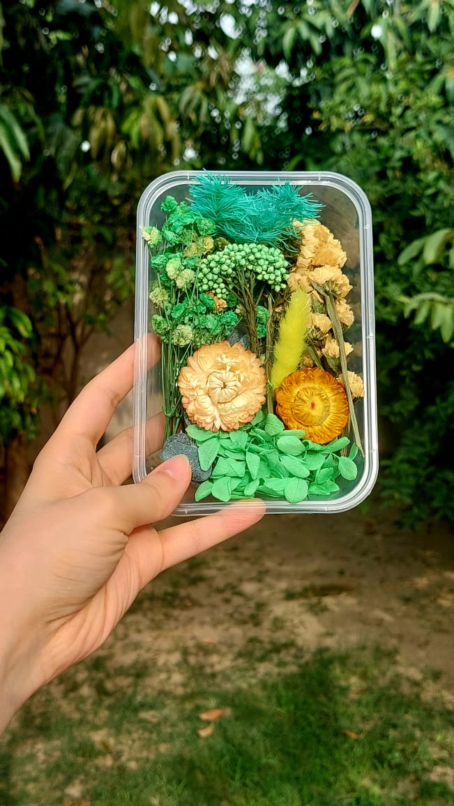 Assorted Real Dry Flowers