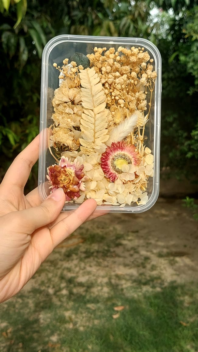 Assorted Real Dry Flowers