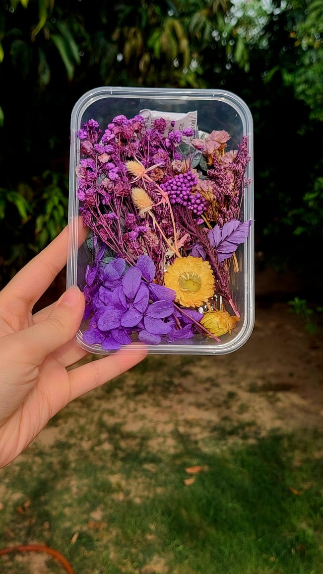 Assorted Real Dry Flowers