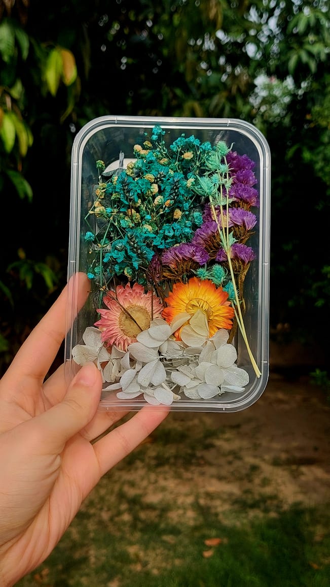 Assorted Real Dry Flowers