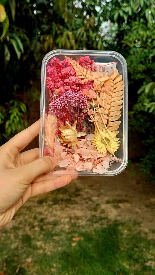Assorted Real Dry Flowers