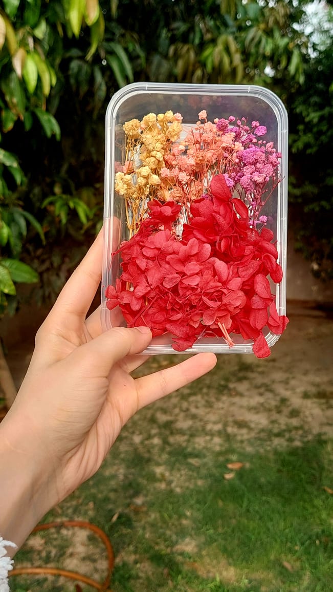 Hydrangea with Baby Breath
