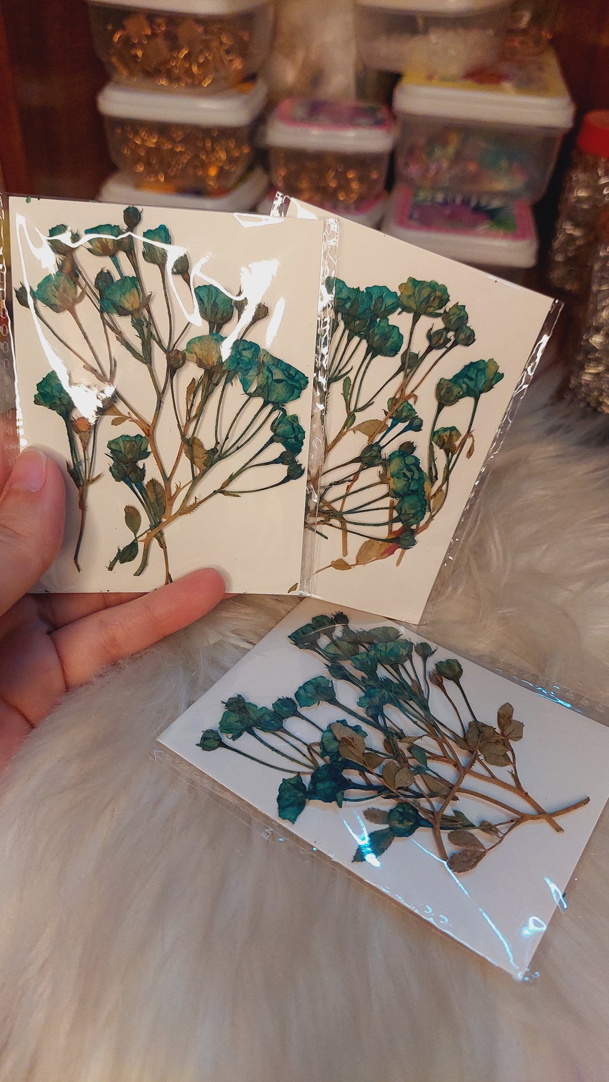 Real side pressed mini dry roses with stems