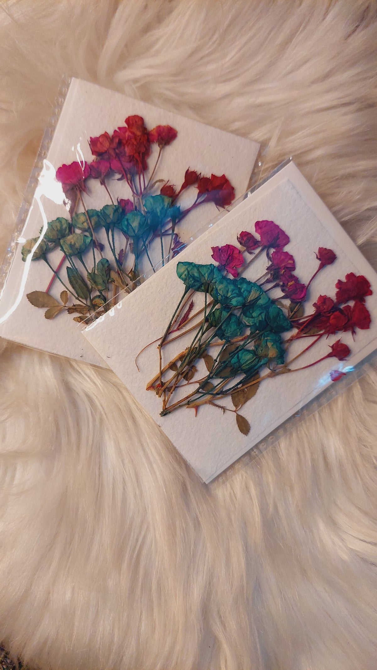 Real side pressed mini dry roses with stems
