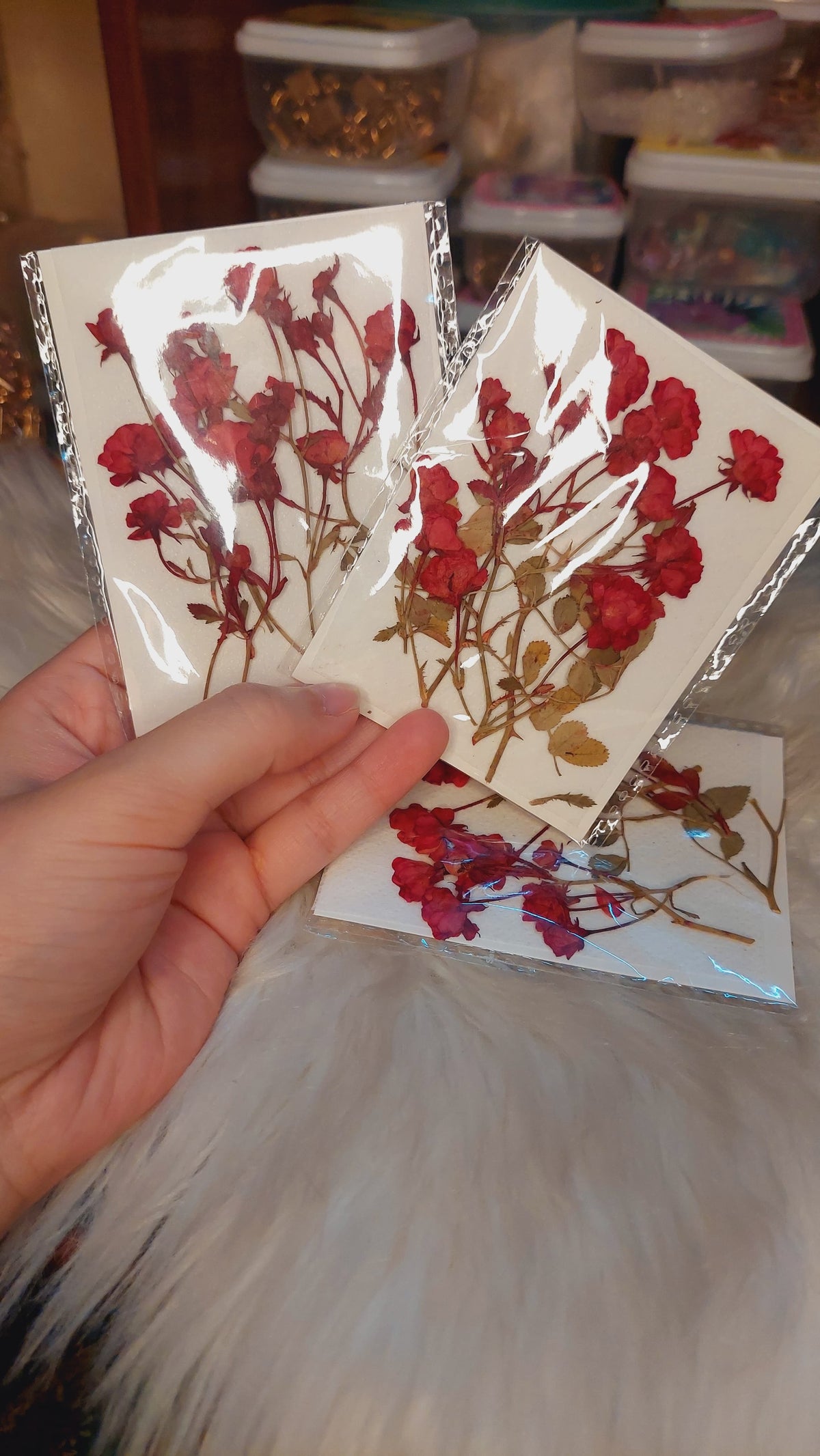 Real side pressed mini dry roses with stems