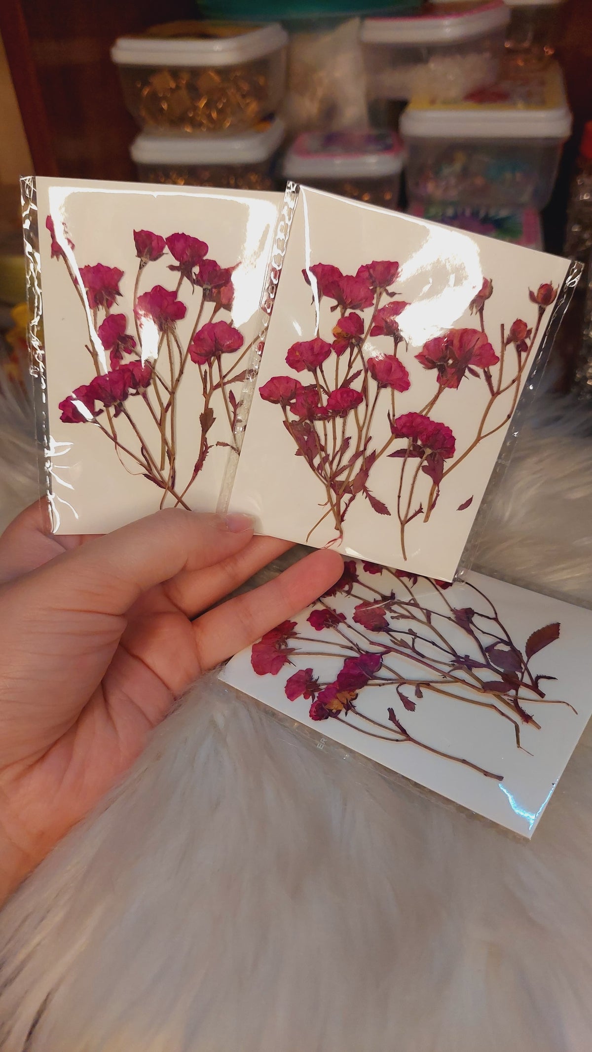 Real side pressed mini dry roses with stems