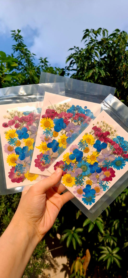 Naturally dried mix flowers pack