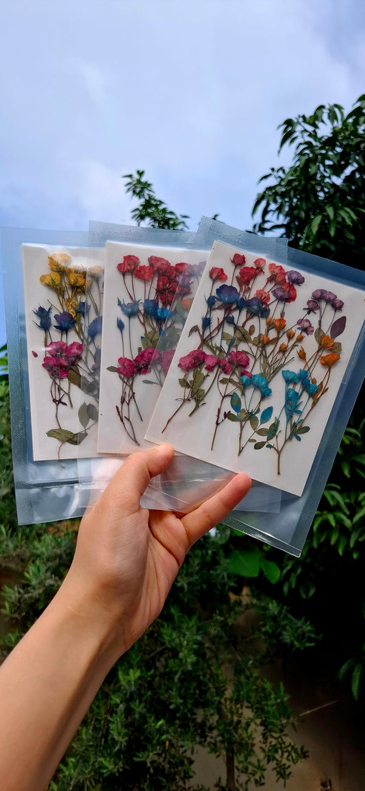 Real side pressed mini dry roses with stems