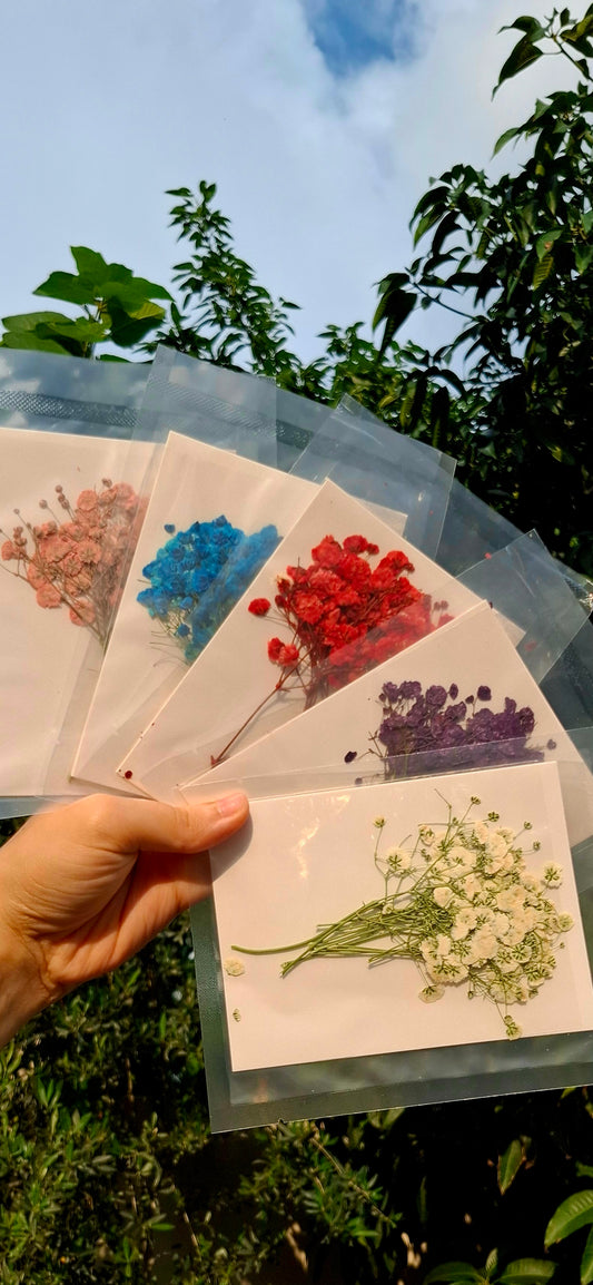 Pressed baby breath packs