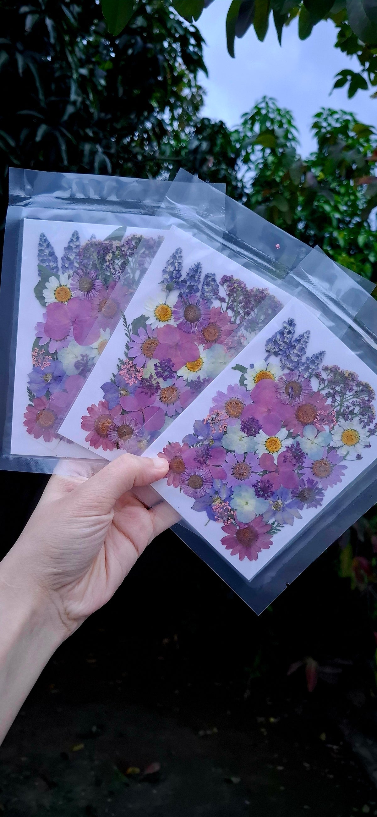 Naturally dried mix flowers pack