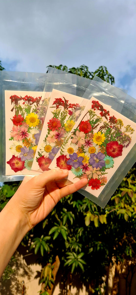 Naturally dried mix flowers pack